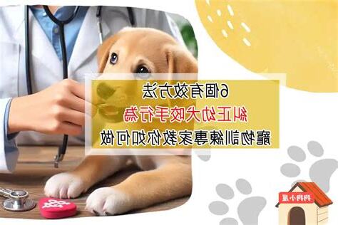 幼犬咬手糾正