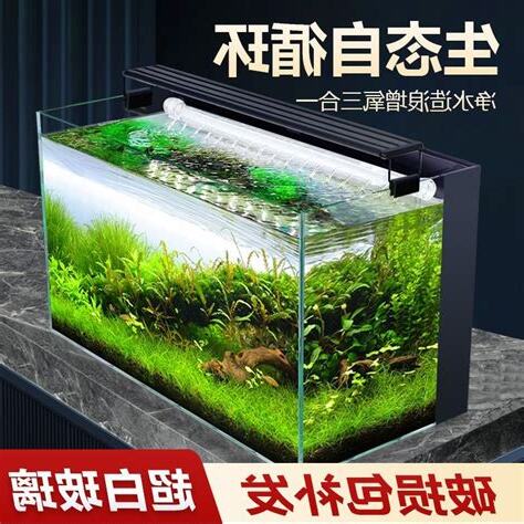 金魚缸換水