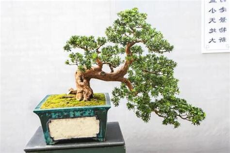 家居風水師傅介紹