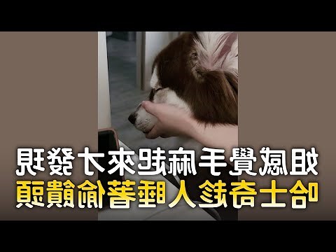 睡著偷插