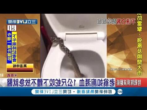 男廁所有一條蛇