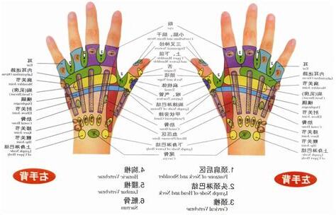 左手是哪邊