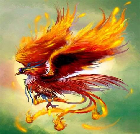 鳳凰真的存在嗎