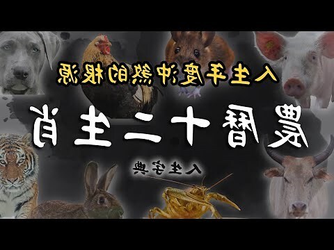 沖煞化解