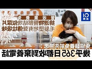 兔子屁股結塊