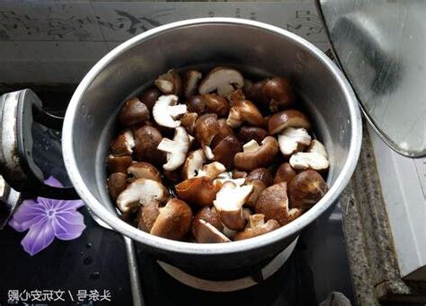 發財樹長香菇