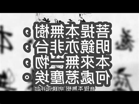 本來無一物何處惹塵埃用法