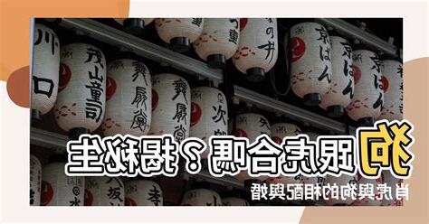 狗跟龍合嗎