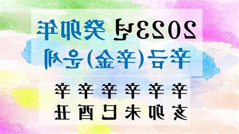 辛金2023
