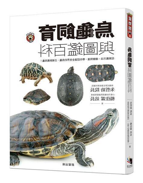 飼養烏龜