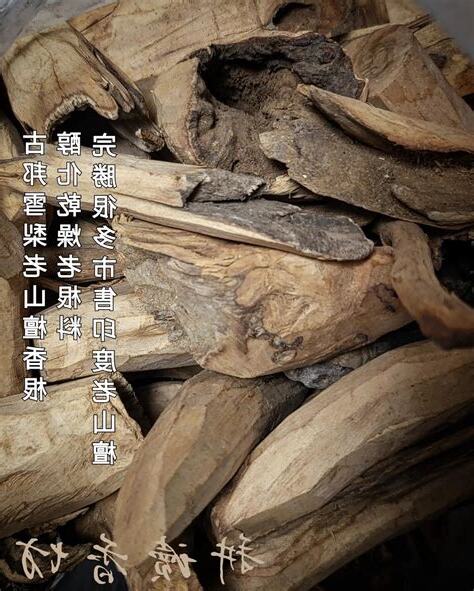 雪梨老山產地