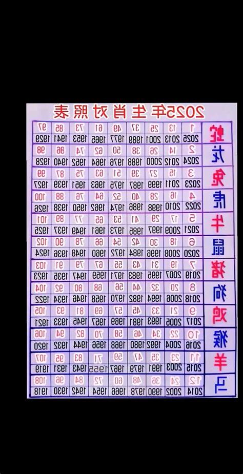 2025什麼生肖