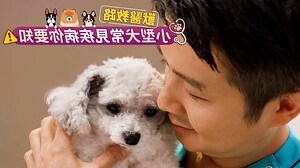 狗狗痾血尿