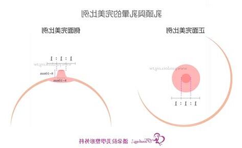 乳暈生毛