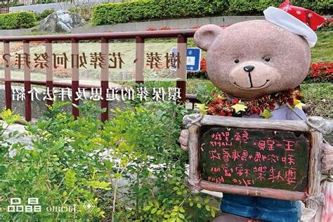 樹葬如何祭拜