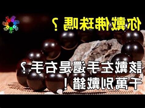 硨磲左右手