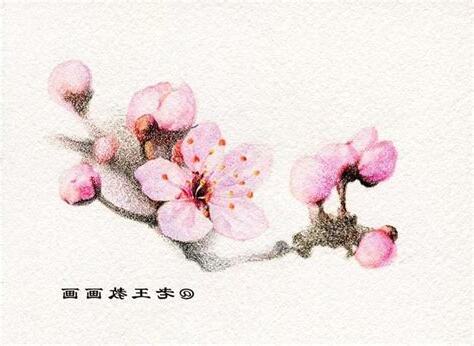 畫桃花
