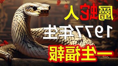 1977年屬蛇人的命運
