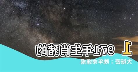 1971是什麼年