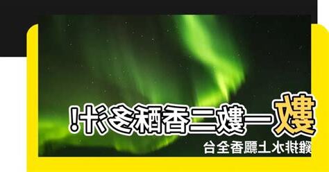 數一數二雞排水上