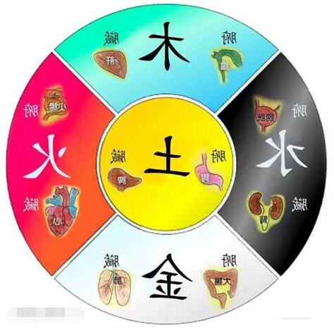 木火土金水肝心脾肺腎