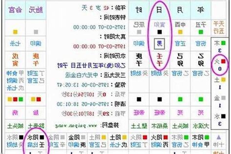 癸丑五行