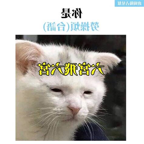 六宮飛一宮