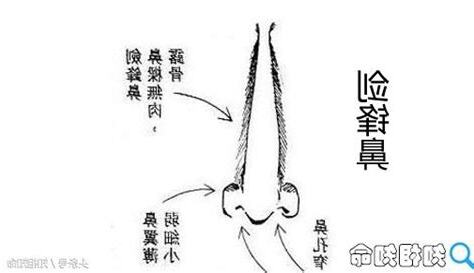 劍鋒鼻