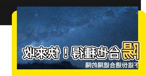適合遮陽的樹