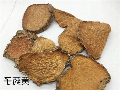 黃藥子何首烏