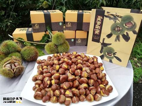 黃金板栗