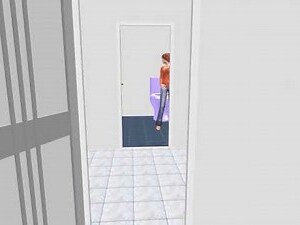 入門見廁所