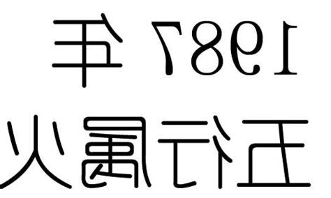 1987年五行