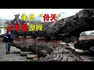 烏木