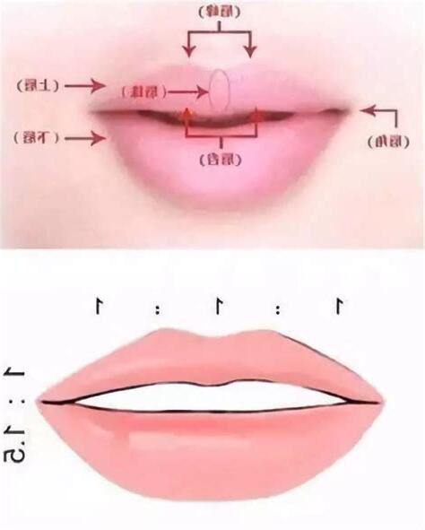 下唇中間凹