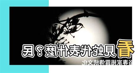 看見蛇代表什麼