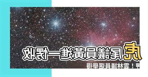 虎尾黃進一