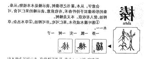 榛的五行
