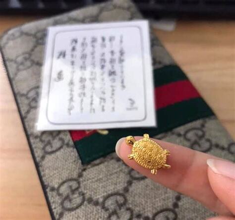 钱龟放钱包