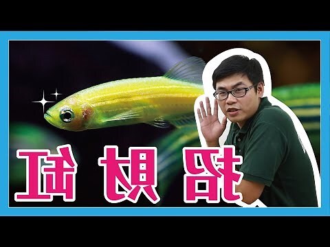 風水缸