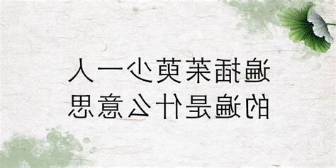 遍差茱萸少一人意思