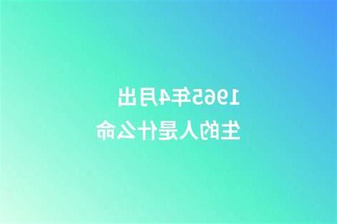 1965年是什么年