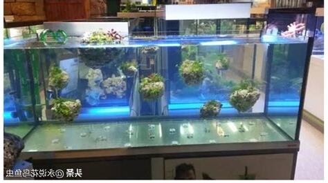 空魚缸怎麼辦