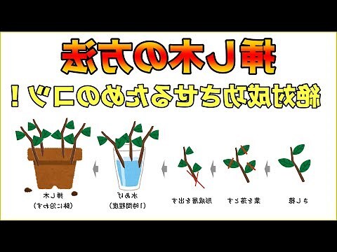 4個木