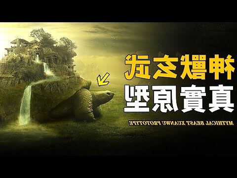 玄武是什麼動物