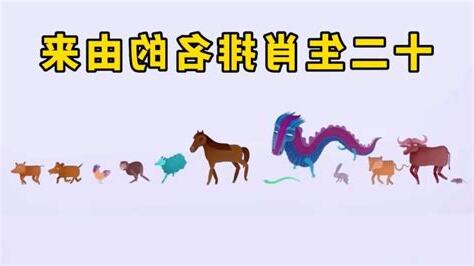 十二生肖的排名