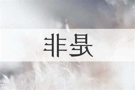 是非的意思
