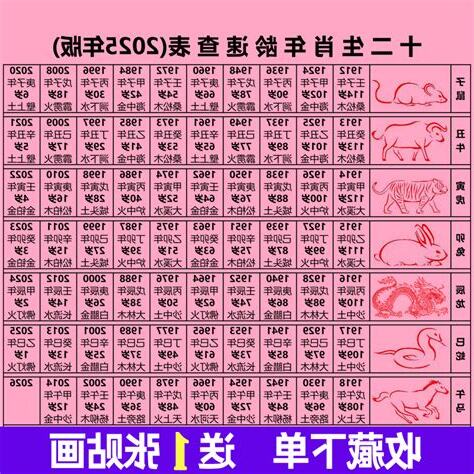 2025是什么生肖