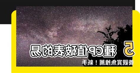 易養魚