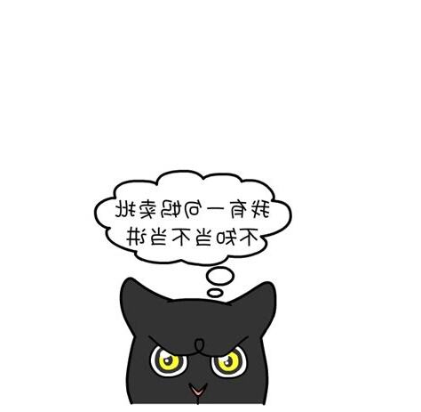 養黑貓注意事項